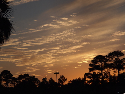 [While only the upper left of this image has blue sky, the image is mostly sky with relative little cloud cover. The sky is orange near teh tops of the trees. The clouds are still white.]